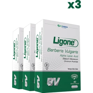 Berberis Complex 60 Kapsül X3 Adet