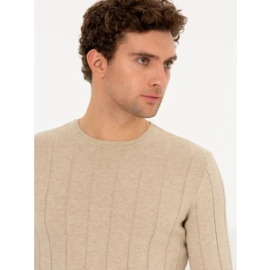 Erkek Ekru Regular Fit Pamuk Karışımlı Bisiklet Yaka Triko Kazak 50257389-VR019