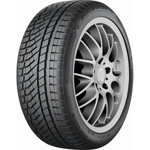 245/45 R19 102W Xl Eurowinter HS02 Pro Suv Kış Lastiği (Üretim YILI:2025)
