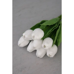 Beyaz 8’li Lale Demet