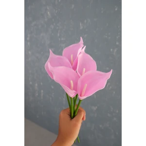 Pembe 5’li Gala Demet