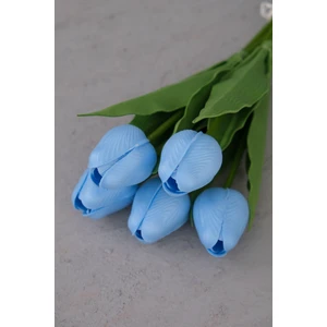 Bebe Mavi 5’li Lale Demet