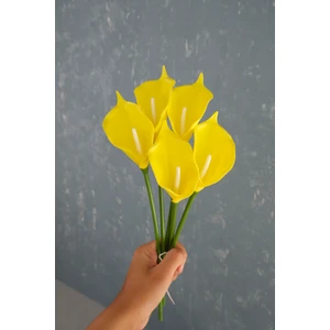 Sarı 5’li Gala Demet