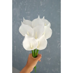 Beyaz 8’li Gala Demet