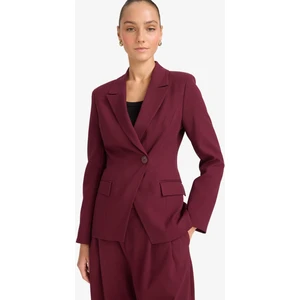 Fitted Düğmeli Blazer Ceket F7441AX25AU