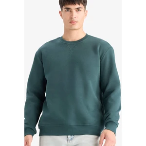 Regular Fit Bisiklet Yaka Basic Düz Kalın Sweatshirt T3777AZ25AU
