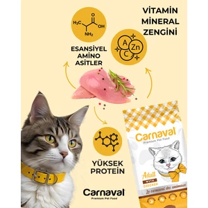 Tavuklu Yetişkin Kedi Maması 30Kg (2x15Kg)