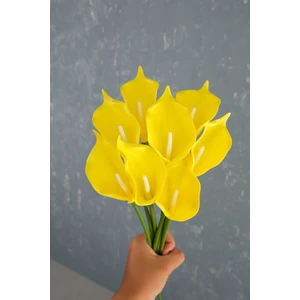 Sarı 8’li Gala Demet