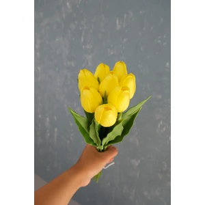 Sarı 8’li Lale Demet
