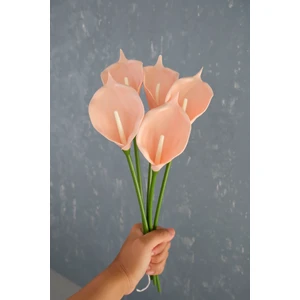 Somon 5’li Gala Demet