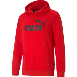 Ess Big Logo Hoodie Erkek Sweatshirt