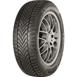 215/55 R17 98V Xl Eurowinter HS02 Oto Kış Lastiği ( Üretim Yılı: 2025 )