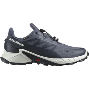 SUPERCROSS 4 GORE-TEX Erkek Koşu Ayakkabısı Grisaille L47462300