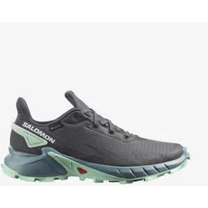 Alphacross 4 Gore-Tex Kadın Patika Koşu Ayakkabısı L47066800