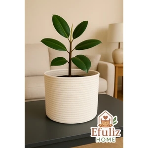 Jüt-Hasır Çok Amaçlı-Dekoratif-Organizer Saksı Sepeti, Bahçe Düzenleyici Sepet. (En:20-Boy:15 Cm)