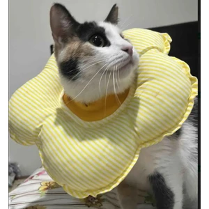 Kedi ve Köpek Yakalığı(Elizabeth Yakalık)