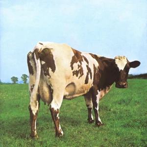 Sony Music Pınk Floyd Atom Heart Mother (2016 Versıon) (PLAK)