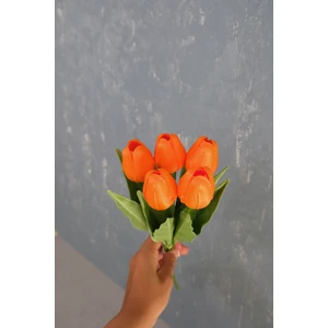 Turuncu 5’li Lale Demet