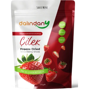Freeze Dried Dondurularak Kurutulmuş Çilek Dilimleri 20 Gram