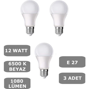 12W E27 LED Ampul 6500K Beyaz Işık (1080 Lümen) (3 Adet)