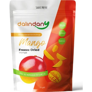 Freeze Dried Dondurularak Kurutulmuş Mango Dilimleri 20 Gram