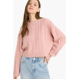 Regular Fit Bisiklet Yaka Triko Kazak T4518AZ25WN