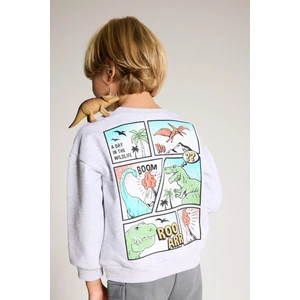 Erkek Bebek Bisiklet Yaka Dinozor Baskılı İçi Yumuşak Tüylü Sweatshirt F5020A525AU