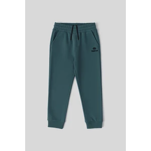 Orman Yeşili Standart Fit Manşetli Ince Erkek Çocuk Eşofman Alt - 11062