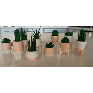 Dekoratif Mini Saksı Magnet Seti 10’lu