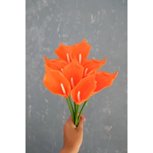 Turuncu 8’li Gala Demet