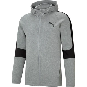 Evostripe Core Fz Hoodie Erkek Ceket