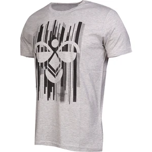 Raiden Erkek Gri Baskılı Bisiklet Yaka Tişört