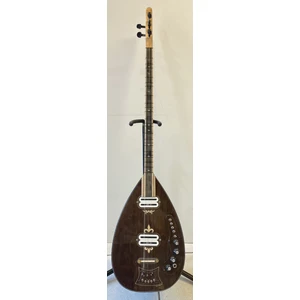 Model 2 Elektro Bağlama (Leslili)