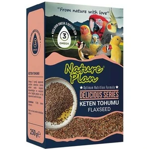 Nature Plan Delicious Serisi Keten Tohumu 250 gr
