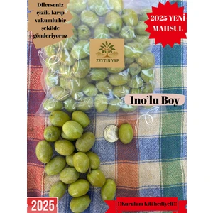 1. Boy Ham Yeşil Zeytin – 1 KG(2025 Yeni Mahsul)