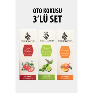 Dekoratif Araç Oto Kokusu 3 Lü Set ( Mango-Çilek-Paçuli)