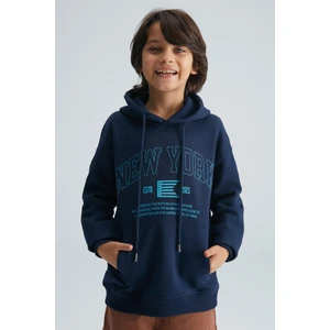 Roy Erkek Çocuk Kapüşonlu Sweatshirt