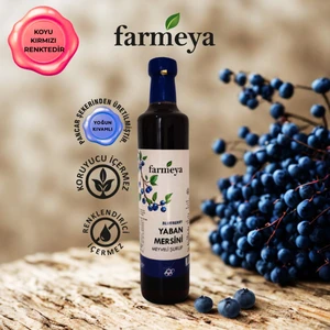 Yaban Mersini Özü 700 gr - Yaban Mersini Meyveli Şurup