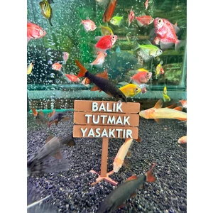 Balık Tutmak Yasaktır Akvaryum Dekor – 6x5 Cm, Mini Tabela Modeli