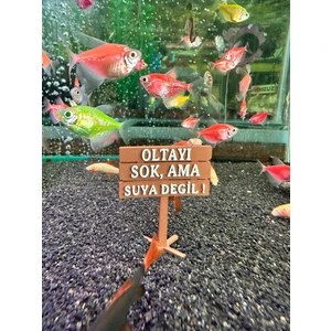 Oltayı Sok Ama Suya Değil! Akvaryum Dekor – 6x5 Cm, Mini Tabela Modeli