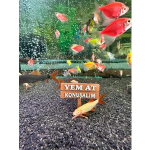 Yem At Konuşalım Akvaryum Dekor – 5x4.5 Cm, Mini Tabela Modeli