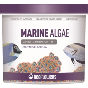Reeflowers Marine Algae 150 ml 83 gr Kutu Yem