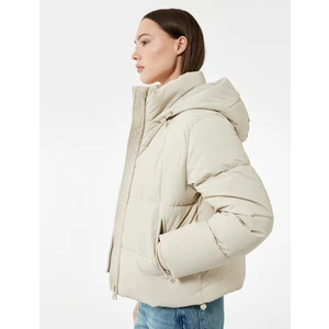 Polar Cep Detaylı Fermuarlı Uzun Kollu Kapüşonlu Crop Şişme Mont