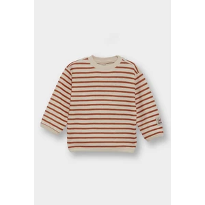 Erkek Bebek Bisiklet Yaka Çizgili Sweatshirt F7587A525WN