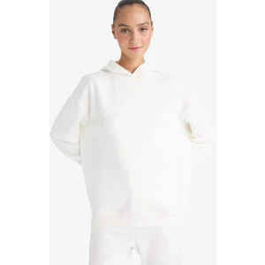 Relax Fit Kapüşonlu Basic Düz Kalın Sweatshirt D9935AX25WN