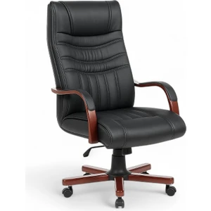 Herkese Mobilya Kuda Makam Koltuğu Yönetici Koltuğu