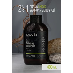 2'si 1 Arada Erkek Şampuan ve Duş Jeli Ekstra Ferah Ginseng, Dengeleyici, Aktif Detoks 400 ml /shampoo Shower Gel
