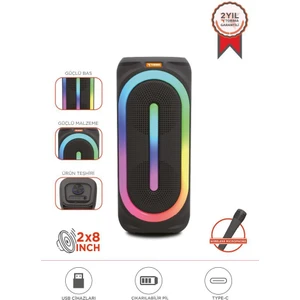 D63 2x8’’ 50 W Güçlü Bass Rgb Işıklı Kablosuz Mikrofonlu Bluetooth Hoparlör Speaker