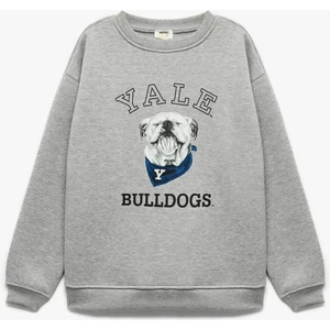 Lisanslı Uzun Kollu Bisiklet Yaka Baskılı Şardonlu Sweatshirt