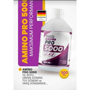 Amino Pro 5000 Amino Asit 500ML